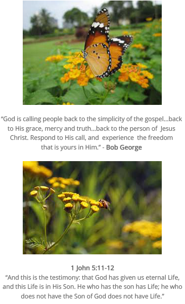 Image of Butterly, Flowers, Christian Scripture, and a Quote