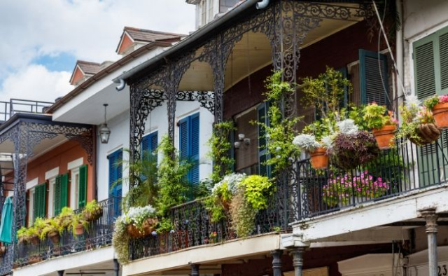 Closeup of New Orleans Shops pretty flowers